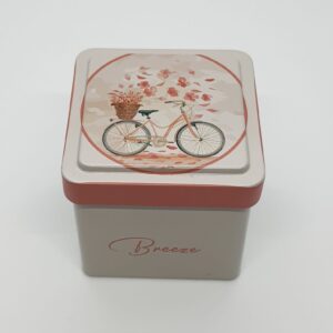 Mini saklama kutusu- ilkbahar