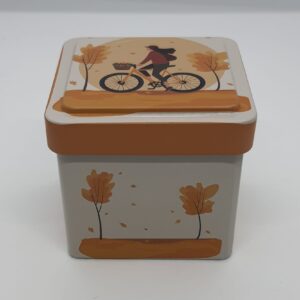 Mini saklama kutusu- sonbahar