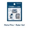 Metal pinler - cetvel seti