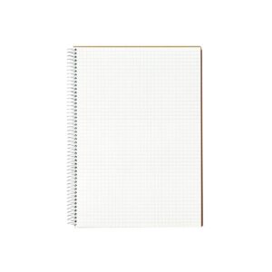 Boş kareli defter sayfası.