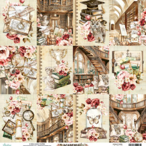 Kütüphane ve akademik temalar